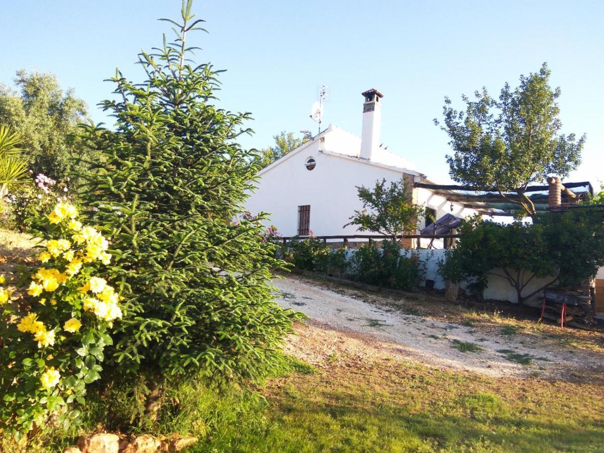 Casa Rural Bellavista 론다 외부 사진